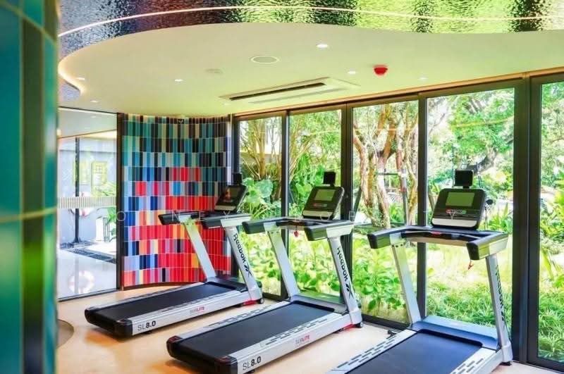 The Base Rise, Phuket, Wichit, Muang Phuket, Phuket, 1 Bedroom, 32 sqm, Condo For Rent, by Connex Property, 500626623 - DDproperty.com