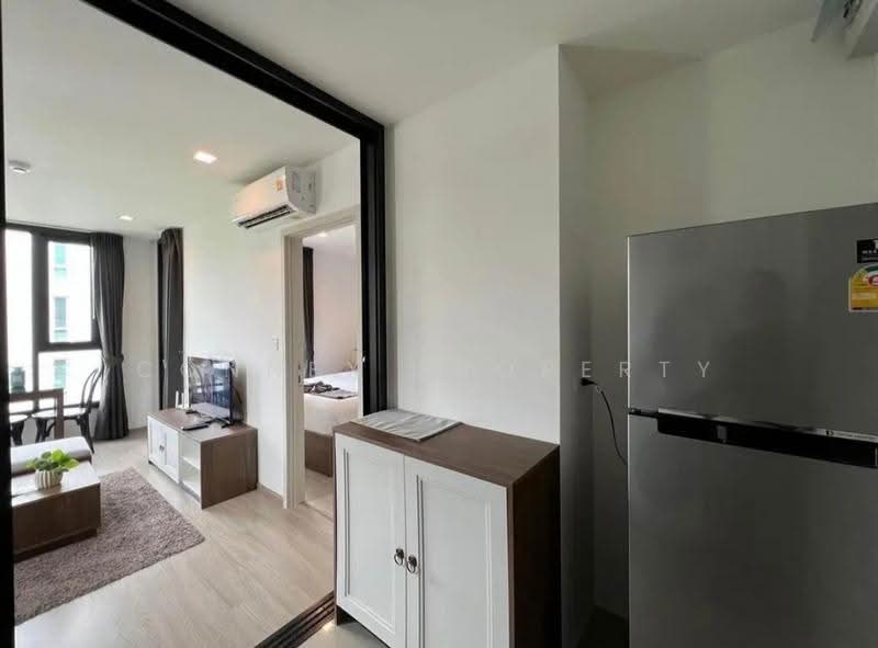 The Base Central, Phuket, Chao Fah Tawan Tok Rd, Wichit, Muang Phuket, Phuket, 1 Bedroom, 31 sqm, Condo For Rent, by Connex Property, 500626633 - DDproperty.com