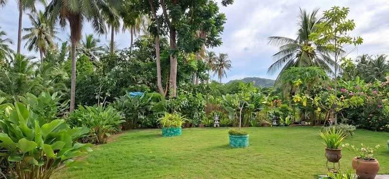 2-BR House, Prachuap Khiri Khan, Sam Roi Yot, Prachuap Khiri Khan, 2 Bedrooms, 120 sqm, Single Detached House For Rent, by Jirapat Chuangsawadsak, 500626749 - DDproperty.com