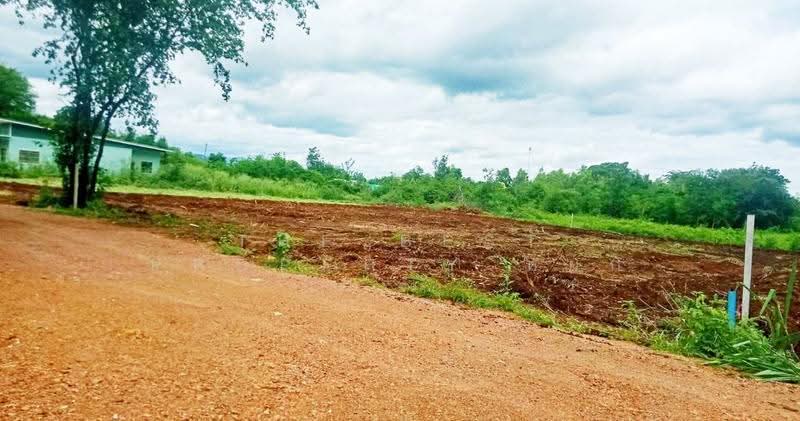 ที่ดินหนองบัว กาญจนบุรี, Kanchanaburi, Nong Bua, Muang Kanchanaburi, Kanchanaburi, , 654 sqm, Land For Sale, by The Best Property หยก, 500626880 - DDproperty.com