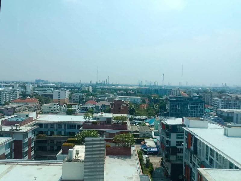The Room Sukhumvit 62, Bangkok, 2288 Sukhumvit Road, Bang Chak, Phra Khanong, Bangkok, 1 Bedroom, 45 sqm, Condo For Rent, by Napat Thamakulangkul, 500627257 - DDproperty.com