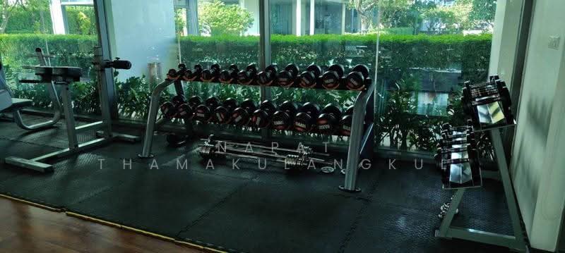 The Room Sukhumvit 62 : เดอะรูม สุขุมวิท 62, กรุงเทพ, 2288 ถ.สุขุมวิท, บางจาก, พระโขนง, กรุงเทพ, 45 ตร.ม., คอนโด ให้เช่า, โดย Napat Thamakulangkul, 500627257 - DDproperty.com