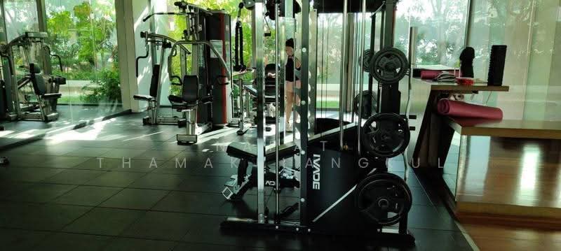 The Room Sukhumvit 62, Bangkok, 2288 Sukhumvit Road, Bang Chak, Phra Khanong, Bangkok, 1 Bedroom, 45 sqm, Condo For Rent, by Napat Thamakulangkul, 500627257 - DDproperty.com