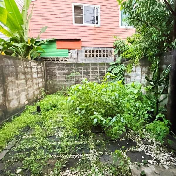 จงสุข วงศ์สว่าง19, Bangkok, Wong Sawang, Bang Sue, Bangkok, 2 Bedrooms, 110 sqm, Townhouse For Sale, by AJHOMECENTER - คุณโต, 500627327 - DDproperty.com