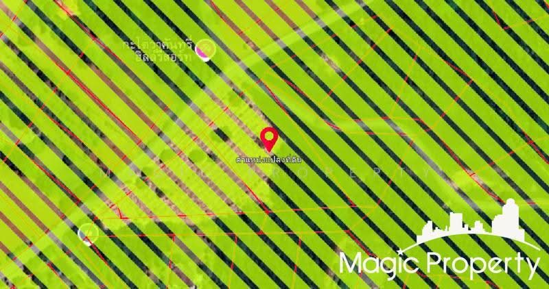 Land 4 Rai For Sale in Pak Chong, Nakhon Ratchasima, Pak Chong, Nakhon Ratchasima, , 7,396 sqm, Land For Sale, by Magic Property, 500627339 - DDproperty.com