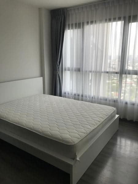 The Base Park West Sukhumvit 77, Bangkok, 11 Soi Sukhumvit 77 Sukhumvit Road, Phra Kanong Nua, Watthana, Bangkok, 1 Bedroom, 26 sqm, Condo For Rent, by Connex Property, 500627756 - DDproperty.com