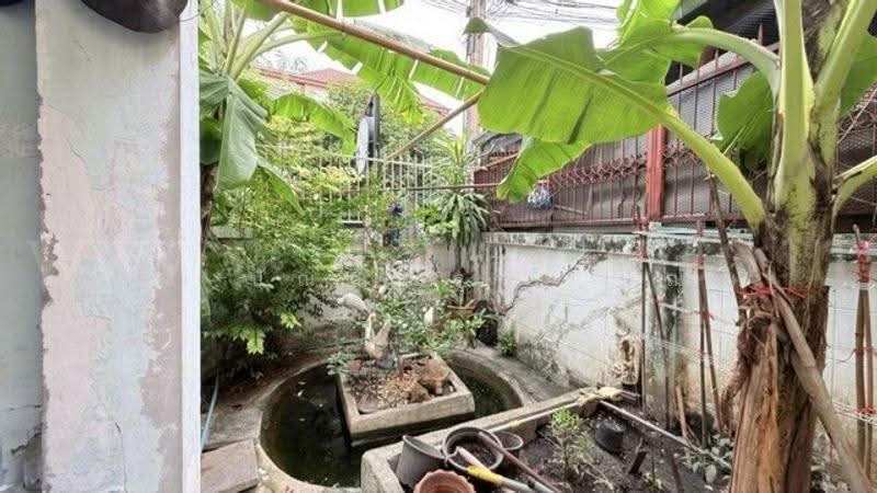 Baan Romsai Kamnan Maen 7, Bangkok, กัลปพฤกษ์, Bang Bon, Bangkok, 4 Bedrooms, 220 sqm, Townhouse For Sale, by คุณ ปัณณณัฐ ( ปัณณ์ ), 500627791 - DDproperty.com