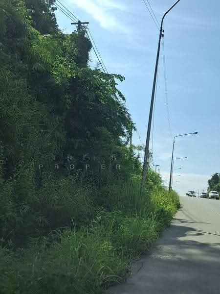 ที่ดินดอยลาน เชียงราย, Chiang Rai, Doi Lan, Muang Chiang Rai, Chiang Rai, , 720 sqm, Land For Sale, by The Best Property ไนล์, 500627915 - DDproperty.com