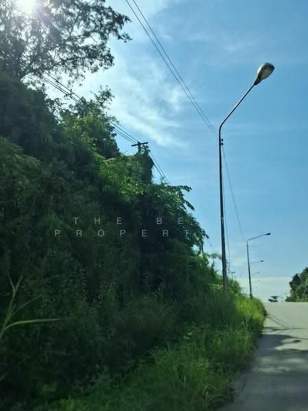 ที่ดินดอยลาน เชียงราย, Chiang Rai, Doi Lan, Muang Chiang Rai, Chiang Rai, , 720 sqm, Land For Sale, by The Best Property ไนล์, 500627915 - DDproperty.com