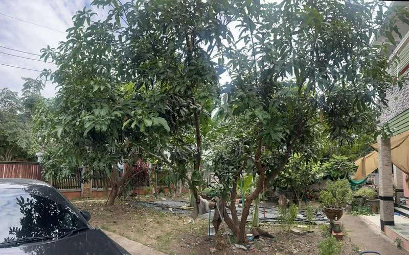 ขาย บ้านเดี่ยว 2 ชั้น เนื้อที่ขนาดใหญ่ถึง 200 ตร.ว ราคาคุ้มค่าที่สุดในโซนเมืองโคราช, Nakhon Ratchasima, Ban Mai, Muang Nakhon Ratchasima, Nakhon Ratchasima, 2 Bedrooms, 175 sqm, Single Detached House For Sale, by บุญญรัตน์ มิสุนา, 500628029 - DDproperty.com