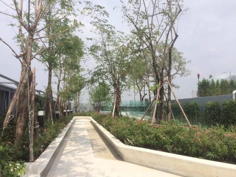 IDEO Thaphra Interchange, กรุงเทพ, 131 ถนนเพชรเกษม, วัดท่าพระ, บางกอกใหญ่, กรุงเทพ, 28 ตร.ม., คอนโด ให้เช่า, โดย Atitayaporn Robwongjan, 500628067 - DDproperty.com