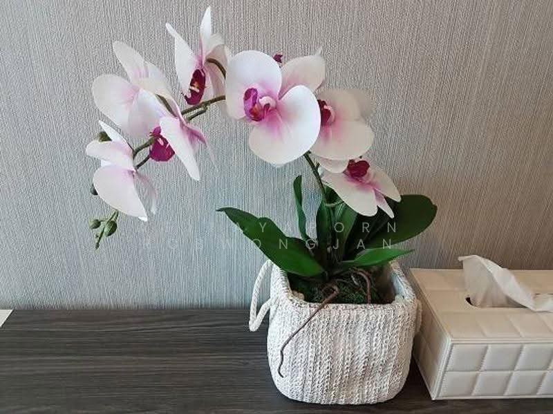 Chewathai Phetkasem 27, Bangkok, 27 Phet Kasem 27 Road, Bang Wa, Phasi Charoen, Bangkok, 1 Bedroom, 31 sqm, Condo For Sale, by Atitayaporn Robwongjan, 500628204 - DDproperty.com