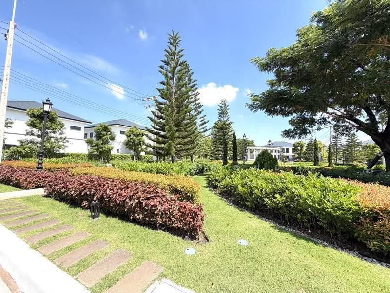 Apitown Khonkaen 2, Khon Kaen, Ban Pet, Muang Khon Kaen, Khon Kaen, 4 Bedrooms, 240 sqm, Single Detached House For Rent, by สุริยา เบียดนอก, 500628380 - DDproperty.com