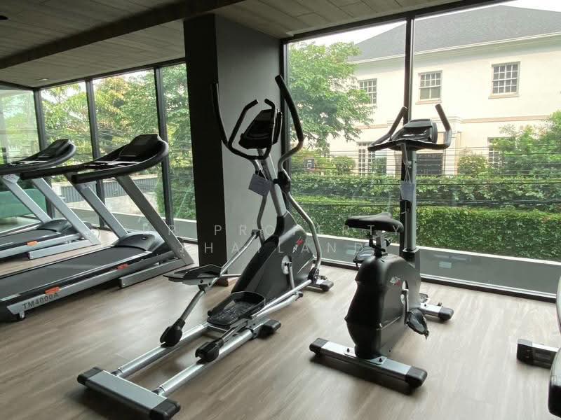The Teak Sukhumvit 39, Bangkok, 86-2 Soi Sukhumvit 39, Khlong Tan Nua, Watthana, Bangkok, 1 Bedroom, 41 sqm, Condo For Rent, by BR Property Thailand, 500628590 - DDproperty.com