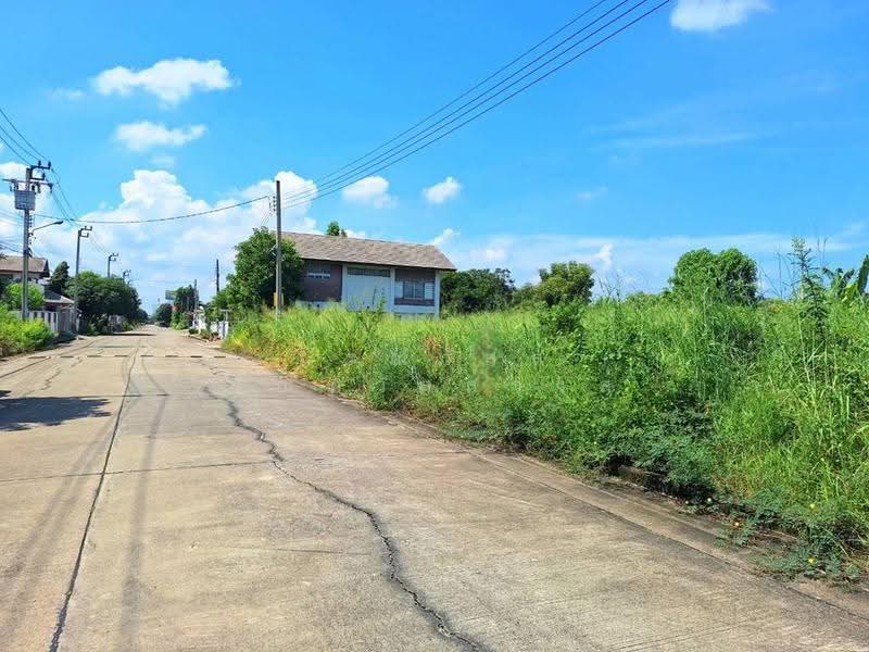 ขาย ที่ดินเปล่า 65 ตารางวา หมู่บ้าน เอกสิริน ลำโพ, Nonthaburi, Lam Pho, Bang Bua Thong, Nonthaburi, , 260 sqm, Land For Sale, by กรณวัสส์ กัณฑวัสส์วงส์, 500628689 - DDproperty.com