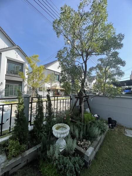 Centro Bangna : เซนโทร บางนา, สมุทรปราการ, 111 ซอย3, บางแก้ว, บางพลี, สมุทรปราการ, 268 ตร.ม., บ้านเดี่ยว ให้เช่า, โดย Connex Property, 500628825 - DDproperty.com