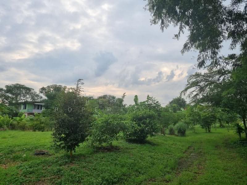 ที่ดินสามโคก ปทุมธานี, ปทุมธานี, บางกระบือ, สามโคก, ปทุมธานี, 4,048 ตร.ม., ที่ดิน ขาย, โดย The Best Property เจน, 500629083 - DDproperty.com