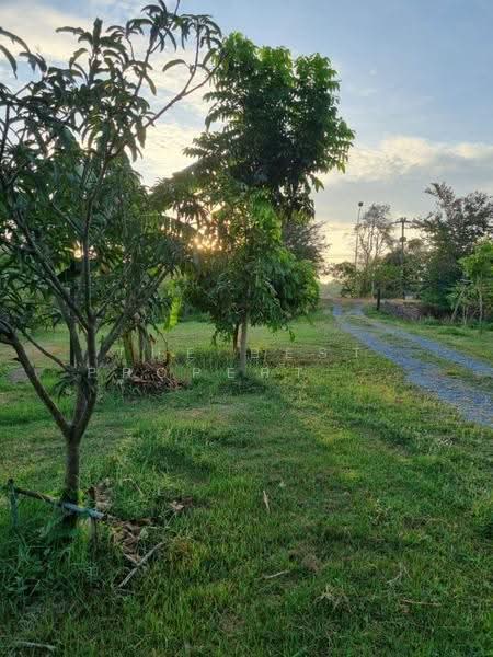 ที่ดินสามโคก ปทุมธานี, ปทุมธานี, บางกระบือ, สามโคก, ปทุมธานี, 4,048 ตร.ม., ที่ดิน ขาย, โดย The Best Property เจน, 500629083 - DDproperty.com