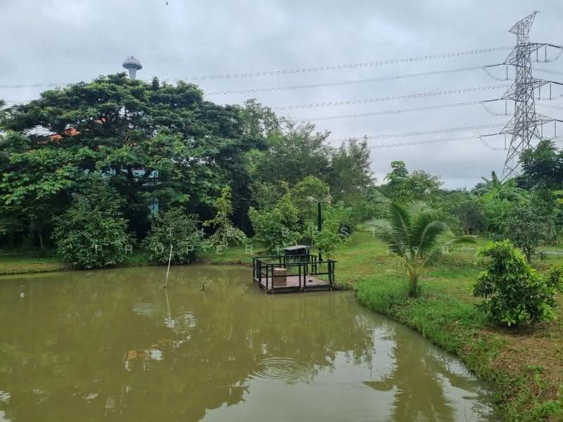 ที่ดินสามโคก ปทุมธานี, ปทุมธานี, บางกระบือ, สามโคก, ปทุมธานี, 4,048 ตร.ม., ที่ดิน ขาย, โดย The Best Property เจน, 500629083 - DDproperty.com