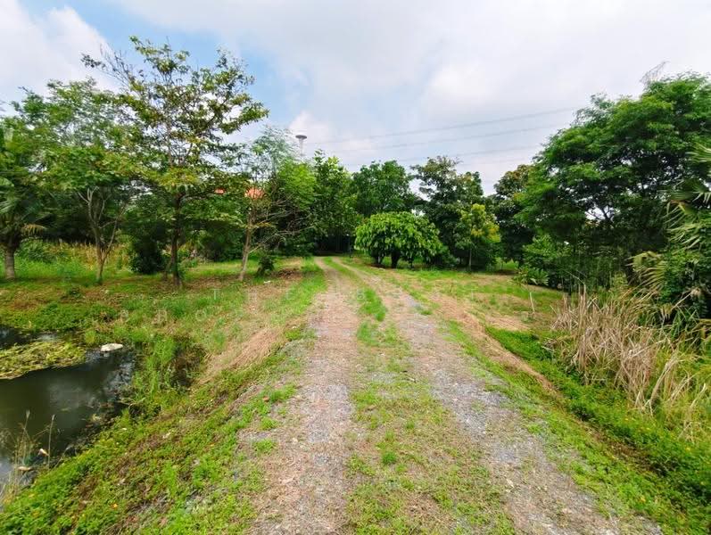 ที่ดินสามโคก ปทุมธานี, Pathum Thani, Bang Krabu, Sam Khok, Pathum Thani, , 4,048 sqm, Land For Sale, by The Best Property  เจน, 500629083 - DDproperty.com