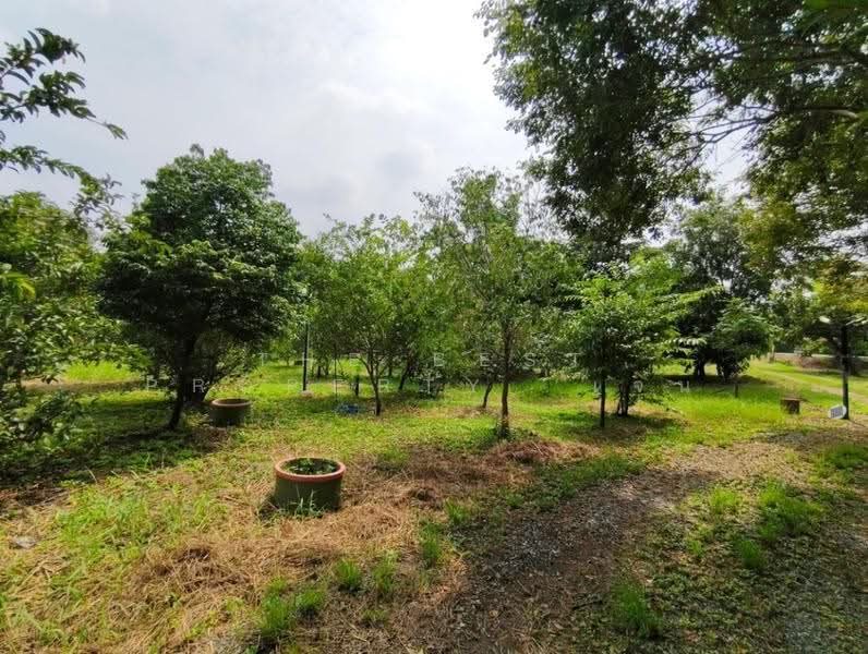 ที่ดินสามโคก ปทุมธานี, Pathum Thani, Bang Krabu, Sam Khok, Pathum Thani, , 4,048 sqm, Land For Sale, by The Best Property  เจน, 500629083 - DDproperty.com