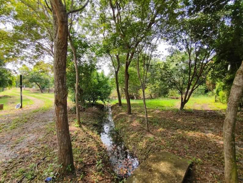 ที่ดินสามโคก ปทุมธานี, ปทุมธานี, บางกระบือ, สามโคก, ปทุมธานี, 4,048 ตร.ม., ที่ดิน ขาย, โดย The Best Property เจน, 500629083 - DDproperty.com