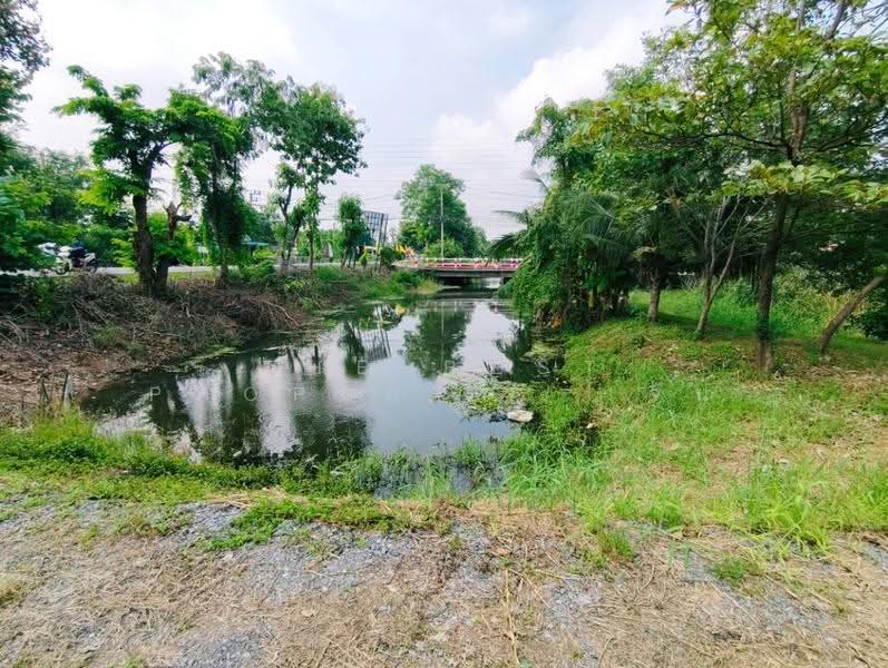 ที่ดินสามโคก ปทุมธานี, Pathum Thani, Bang Krabu, Sam Khok, Pathum Thani, , 4,048 sqm, Land For Sale, by The Best Property  เจน, 500629083 - DDproperty.com