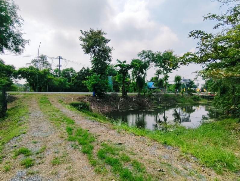 ที่ดินสามโคก ปทุมธานี, ปทุมธานี, บางกระบือ, สามโคก, ปทุมธานี, 4,048 ตร.ม., ที่ดิน ขาย, โดย The Best Property เจน, 500629083 - DDproperty.com
