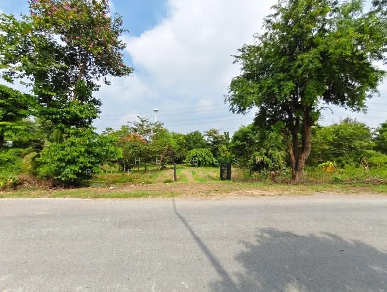 ที่ดินสามโคก ปทุมธานี, Pathum Thani, Bang Krabu, Sam Khok, Pathum Thani, , 4,048 sqm, Land For Sale, by The Best Property  เจน, 500629083 - DDproperty.com
