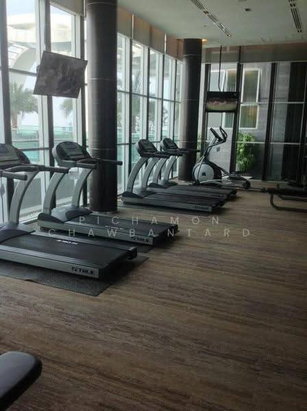 Rhythm Sukhumvit 50, Bangkok, 8 Sukhumvit 50, Sukhumvit Road, Phra Kanong, Khlong Toei, Bangkok, 1 Bedroom, 35 sqm, Condo For Rent, by Pichamon Chawbantard, 500629086 - DDproperty.com