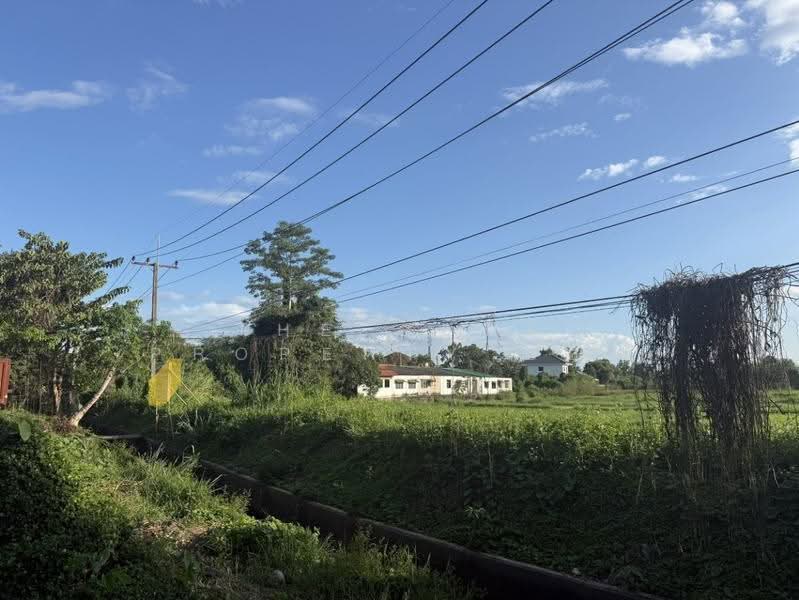 ที่ดินสันทราย เชียงใหม่, Chiang Mai, Pa Phai, San Sai, Chiang Mai, , 4,484 sqm, Land For Sale, by The Best Property บอย, 500629253 - DDproperty.com