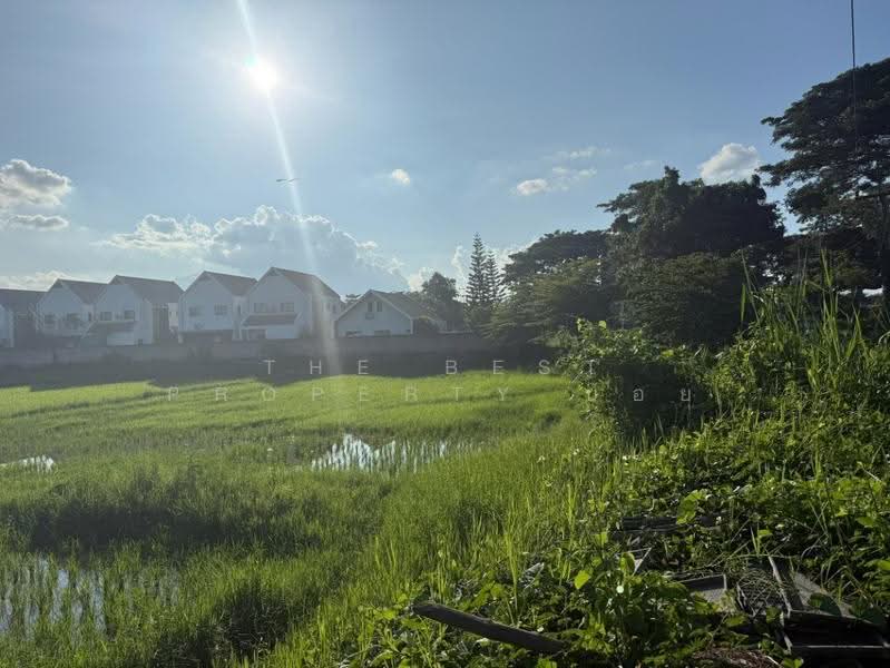 ที่ดินสันทราย เชียงใหม่, Chiang Mai, Pa Phai, San Sai, Chiang Mai, , 4,484 sqm, Land For Sale, by The Best Property บอย, 500629253 - DDproperty.com