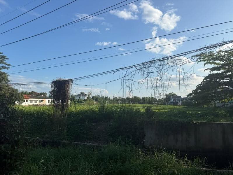 ที่ดินสันทราย เชียงใหม่, Chiang Mai, Pa Phai, San Sai, Chiang Mai, , 4,484 sqm, Land For Sale, by The Best Property บอย, 500629253 - DDproperty.com