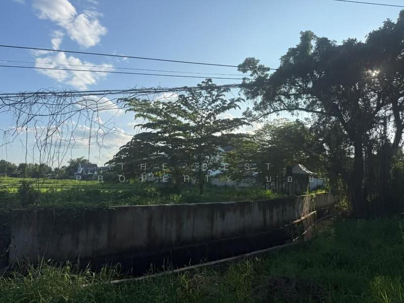 ที่ดินสันทราย เชียงใหม่, Chiang Mai, Pa Phai, San Sai, Chiang Mai, , 4,484 sqm, Land For Sale, by The Best Property บอย, 500629253 - DDproperty.com