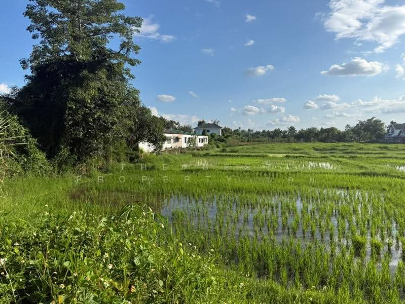 ที่ดินสันทราย เชียงใหม่, Chiang Mai, Pa Phai, San Sai, Chiang Mai, , 4,484 sqm, Land For Sale, by The Best Property บอย, 500629253 - DDproperty.com