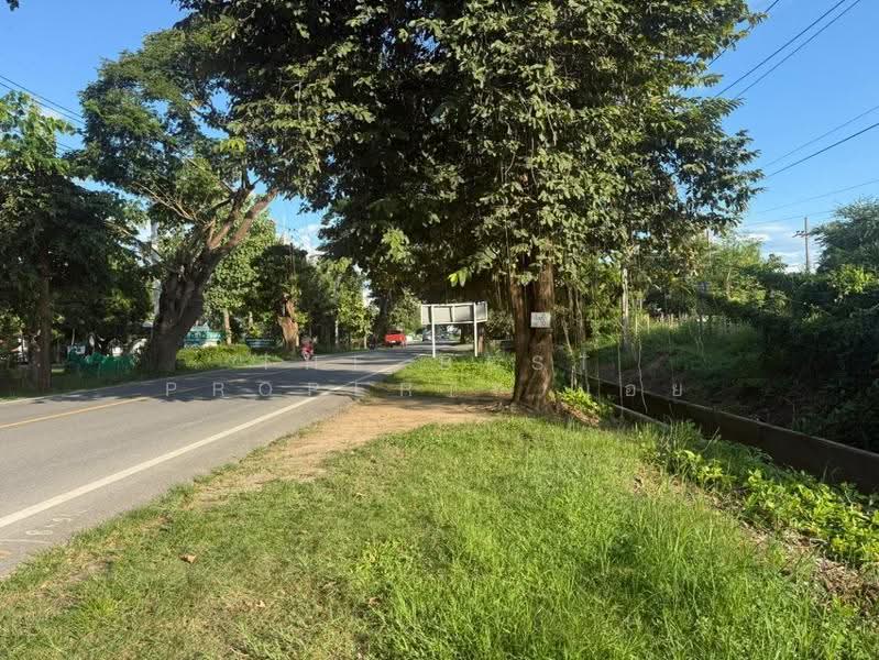 ที่ดินสันทราย เชียงใหม่, Chiang Mai, Pa Phai, San Sai, Chiang Mai, , 4,484 sqm, Land For Sale, by The Best Property บอย, 500629253 - DDproperty.com