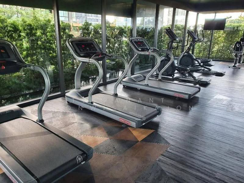 The Room Sukhumvit 38, Bangkok, Soi Sukhumvit 38, Phra Kanong, Khlong Toei, Bangkok, 1 Bedroom, 51 sqm, Condo For Rent, by Teeranant Chonwisaikajon, 500629467 - DDproperty.com