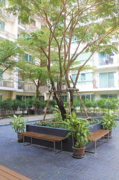 The Clover Thonglor Residence : เดอะ โคลเวอร์ ทองหล่อ เรสซิเดนซ์, กรุงเทพ, ซอยสุขุมวิท 55, คลองตันเหนือ, วัฒนา, กรุงเทพ, 36 ตร.ม., คอนโด ให้เช่า, โดย Jettapat Jaroonpipatkun, 500629608 - DDproperty.com