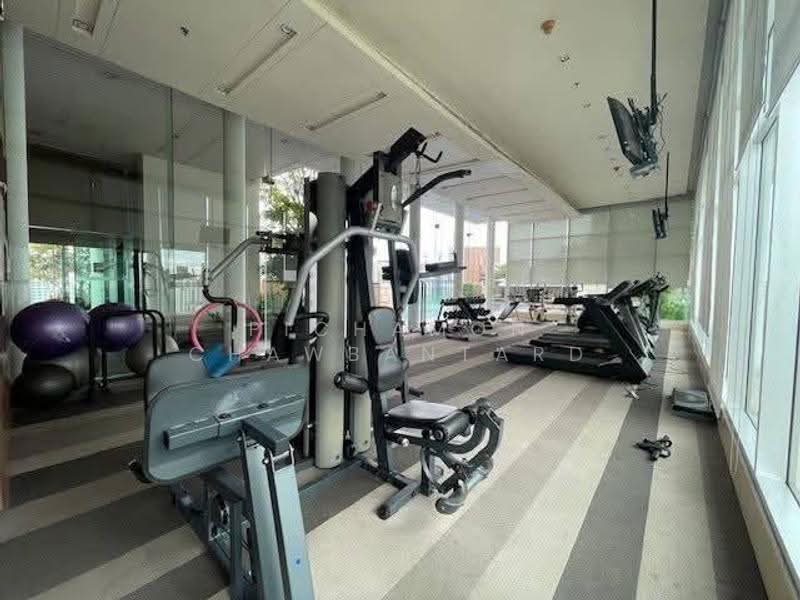 Life @ Sukhumvit 65, Bangkok, Sukhumvit Road, Phra Kanong Nua, Watthana, Bangkok, 2 Bedrooms, 60 sqm, Condo For Rent, by Pichamon Chawbantard, 500629690 - DDproperty.com