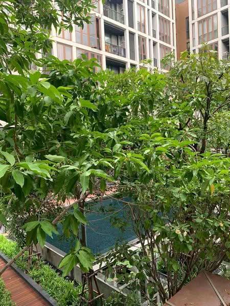 Hasu Haus : ฮาสุ เฮ้าส์, กรุงเทพ, ถนนสุขุมวิท 77, พระโขนงเหนือ, วัฒนา, กรุงเทพ, 36 ตร.ม., คอนโด ขาย, โดย Jettapat Jaroonpipatkun, 500629698 - DDproperty.com