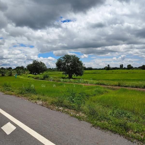 บ้านนาเพียง ตำบลสำราญ อำเภอเมืองขอนแก่น จังหวัดขอนแก่น, Khon Kaen, ถนนคลองน้ำ, Samran, Muang Khon Kaen, Khon Kaen, , 3,200 sqm, Land For Sale, by Nichapa Phiachan, 500629759 - DDproperty.com