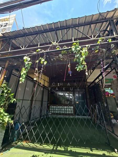 Shophouse for RENT next to BTS Bearing, Bangna, กรุงเทพ, บางนาใต้, บางนา, กรุงเทพ, 88 ตร.ม., ตึกแถว-อาคารพาณิชย์ ให้เช่า, โดย Vichai  Annavakulthorn, 500629857 - DDproperty.com