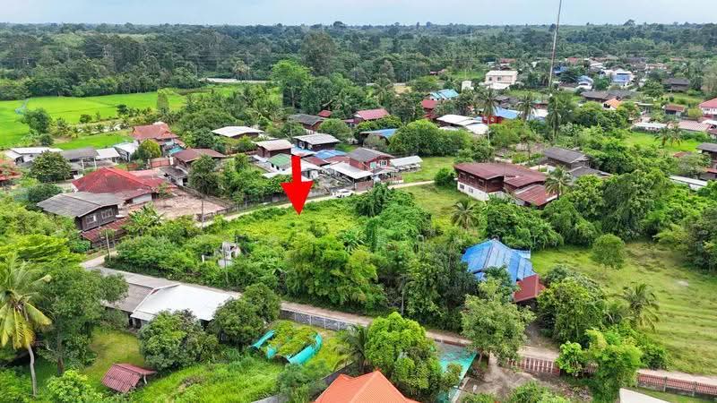 ที่ดินท่าช้าง อำเภอสว่างวีระวงศ์ อุบลราชธานี, Ubon Ratchathani, Tha Chang, Sawang Weerawong, Ubon Ratchathani, , 836 sqm, Land For Sale, by ยุภาพร ศุภผลา, 500630022 - DDproperty.com