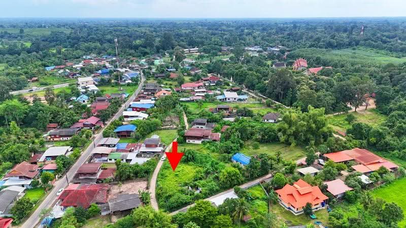ที่ดินท่าช้าง อำเภอสว่างวีระวงศ์ อุบลราชธานี, Ubon Ratchathani, Tha Chang, Sawang Weerawong, Ubon Ratchathani, , 836 sqm, Land For Sale, by ยุภาพร ศุภผลา, 500630022 - DDproperty.com