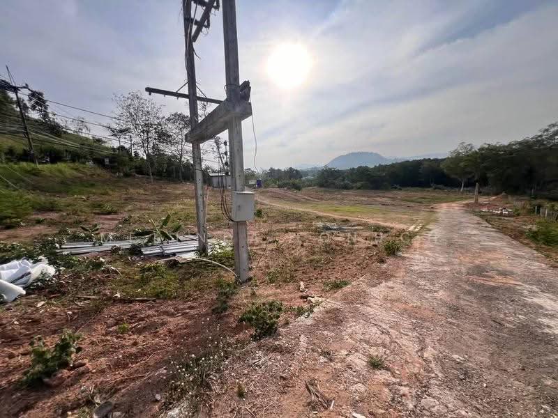 Studio House, Phuket, Ratsada, Muang Phuket, Phuket, Studio, 47 sqm, Single Detached House For Sale, by Melinda Lonuch, 500630237 - DDproperty.com