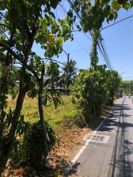 3-BR House, Phuket, Sri Sunthon, Thalang, Phuket, 3 Bedrooms, 150 sqm, Single Detached House For Sale, by Melinda Lonuch, 500630275 - DDproperty.com