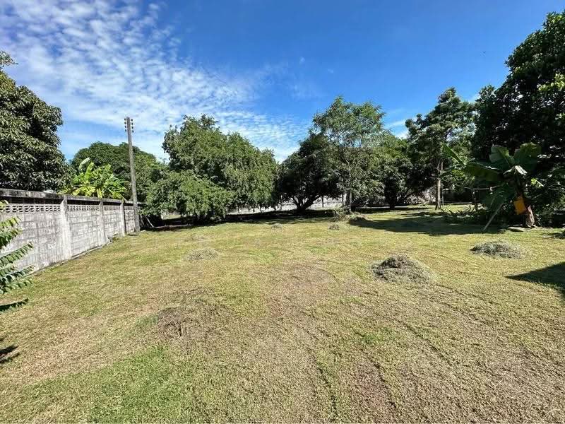 Studio House, Chon Buri (Pattaya), Saen Suk, Muang Chon Buri, Chon Buri (Pattaya), Studio, 47 sqm, Single Detached House For Sale, by Melinda Lonuch, 500630318 - DDproperty.com