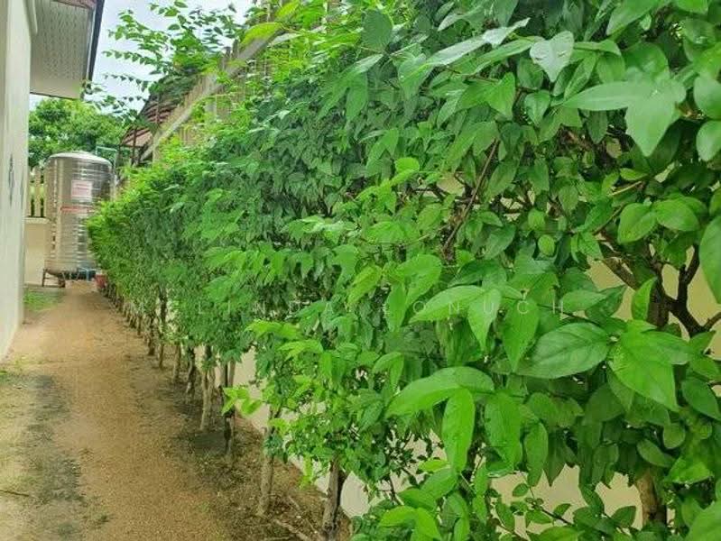 undefined, Chon Buri (Pattaya), Surasak, Si Racha, Chon Buri (Pattaya), 4 Bedrooms, 195 sqm, Single Detached House For Sale, by Melinda Lonuch, 500630353 - DDproperty.com
