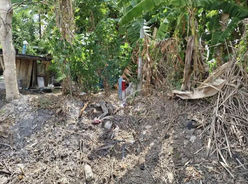 Land, Bangkok, เฉลิมพระเกียรติ ร.9 ซอย 30 แยก 24, Dok Mai, Prawet, Bangkok, , 800 sqm, Land For Sale, by Chaiwat Chung, 500630367 - DDproperty.com