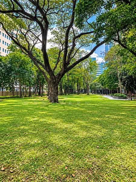 Abstracts Phahonyothin Park, Bangkok, 1076 Phahonyothin Road, Jom Phon, Chatuchak, Bangkok, 1 Bedroom, 38 sqm, Condo For Sale, by Thananthorn Wongvarnkaseam, 500630418 - DDproperty.com